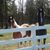 NicoleandBrian Witty's profile image
