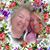 Susan Cummings's profile image