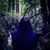Madeline Chea's profile image