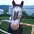 Dawn Rupard's profile image