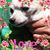 Leanne Durrett's profile image