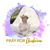 Ashley Catanzaro Stallknecht's profile image