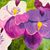 Elina Bergelson's profile image