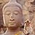 Steve Atwell's profile image