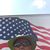 Sam Troiano's profile image