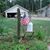 Pam McCumber's profile image