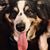 Leann Boyter Richard's profile image