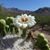 Susan Love Hawfield's profile image