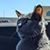 Megan Haibeck's profile image
