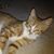 Melissa Mulders's profile image