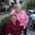 Diane Detwiler-Zapp's profile image