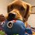 Christie A Cowen's profile image