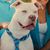 Leif N Falicia Jimenez's profile image
