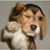 Craig Martin's profile image
