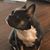 Le Ann Breedlove's profile image