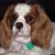 Richard Nunnally's profile image