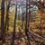Christa Comito's profile image