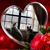 Donna Wilson's profile image