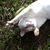 Cathie Lee's profile image