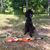 Lori Caprell Lawrence's profile image