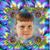 Patricia Chamberlin's profile image