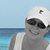Julia Brakhage's profile image