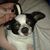 Sarah Blagg's profile image