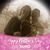 Amber Travis Jones's profile image
