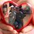 Hope Sherfey's profile image