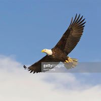 Laura Kinsey's profile image