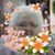 Jeri Bailey's profile image