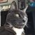 Karen Hartland's profile image