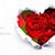 Maiza Fathima's profile image
