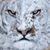 Clinton Tackett's profile image