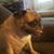 Cindy Weissenfluh's profile image
