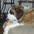 Jann McMaster's profile image