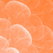 bindweed's profile image