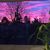 Julie Prater-Olson's profile image