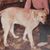 Dale Kennedy's profile image