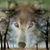 Glenda Watson's profile image