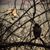 Heather Wavra White's profile image