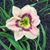 Christine Wilburn's profile image