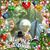 Cindy Cameron's profile image