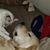 Angie Mount's profile image
