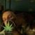 Eric Kimbley's profile image