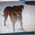 Cathy Johnson Chrisjohn's profile image
