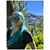 Sarah Cox's profile image