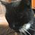 Debora Fullerton's profile image