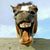 Wan Truckers's profile image