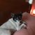 Linda Sue Besch's profile image